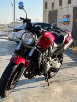 2002 Honda CB900F Hornet (919cc)