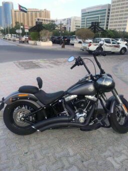 2017 Harley-Davidson Softail Slim (FLS)