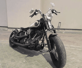 2008 Harley-Davidson Cross Bones 96 (FLSTSB)