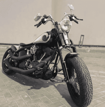 2008 Harley-Davidson Cross Bones 96 (FLSTSB)