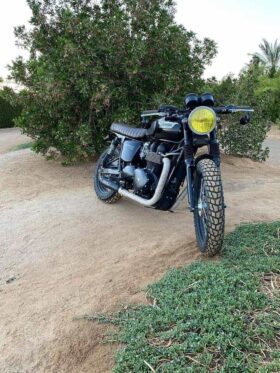 2015 Triumph Scrambler