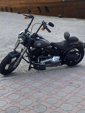 2017 Harley-Davidson Softail Slim (FLS)