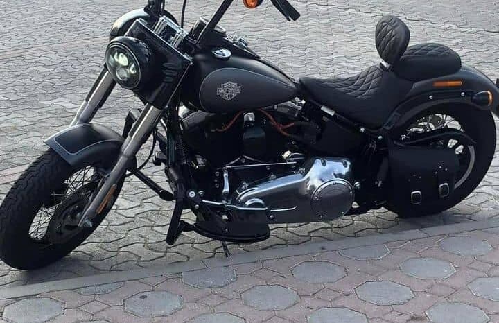 
								2017 Harley-Davidson Softail Slim (FLS) full									