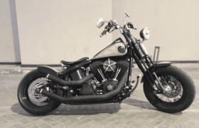 2008 Harley-Davidson Cross Bones 96 (FLSTSB)