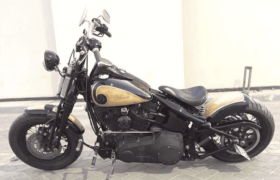 2008 Harley-Davidson Cross Bones 96 (FLSTSB)