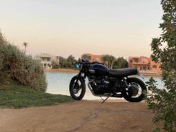 
										2015 Triumph Scrambler full									