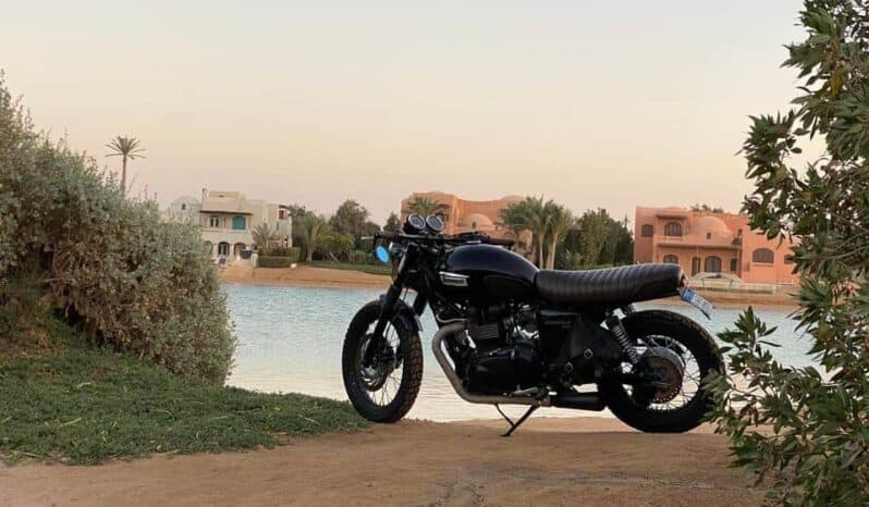 
								2015 Triumph Scrambler full									