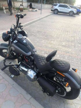 2017 Harley-Davidson Softail Slim (FLS)